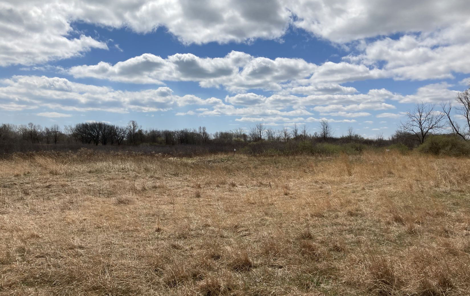 85th Street: The intersection of ancient sand dunes, virgin prairie, a ...