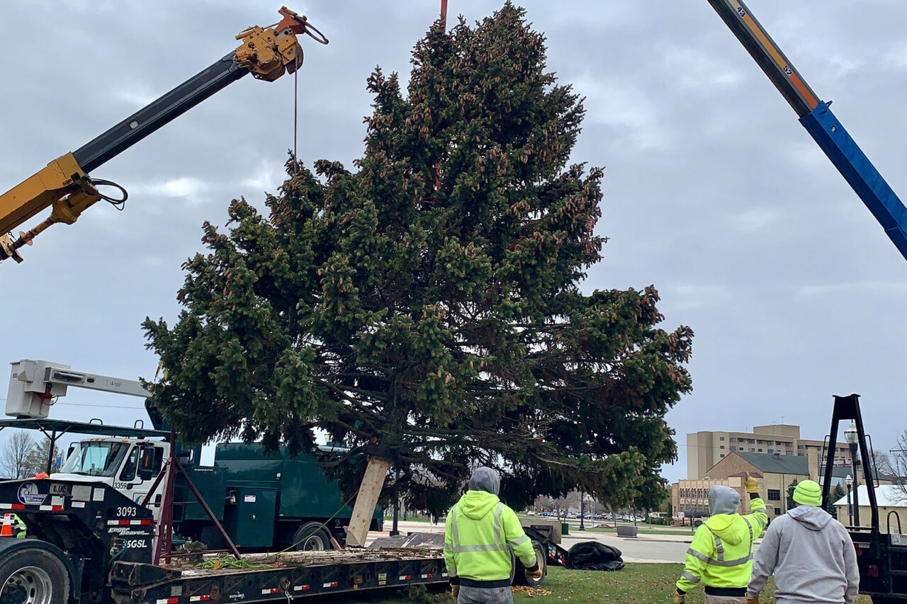 Crews put official Kenosha Christmas tree in place Monday
